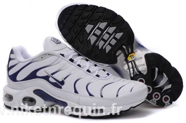 nike tn 2010 bleu blanc (1).JPG